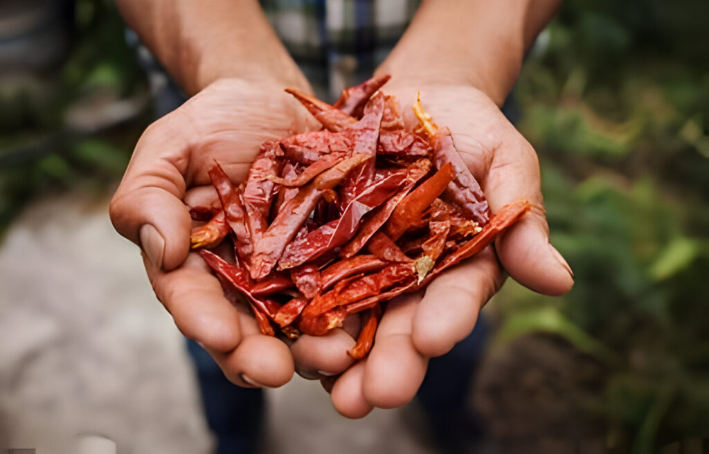 guajillo